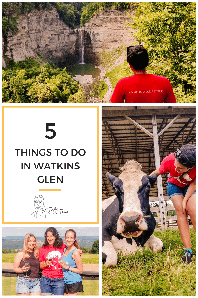 BLog Cover Title that Says 5 Things to do in Watkins Glen