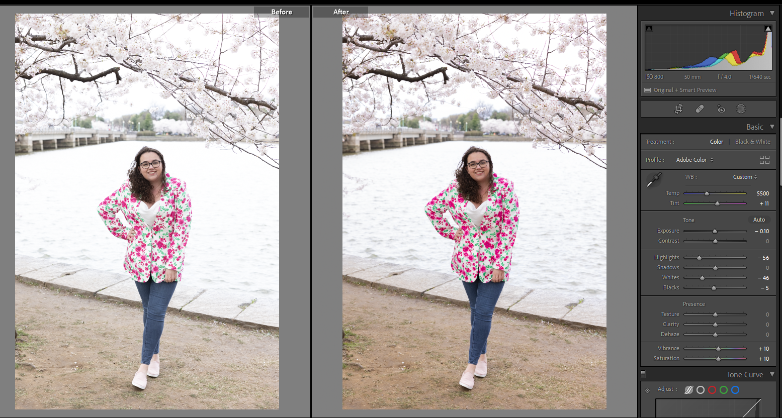 Managing Highlights and Whites in Bright Photos 3